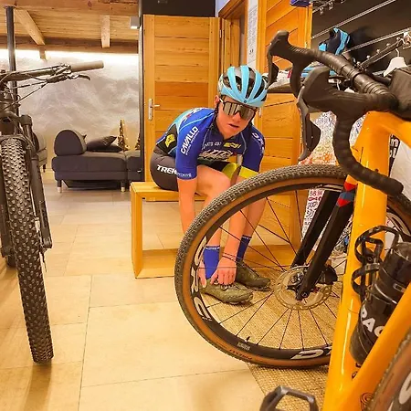 Alp & Bike - Tourneuve5 アオスタ