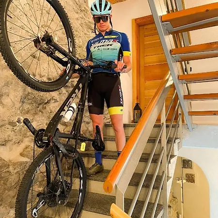 Alp & Bike - Tourneuve5 * アオスタ