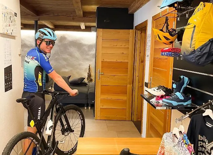 Alp & Bike - Tourneuve5 *