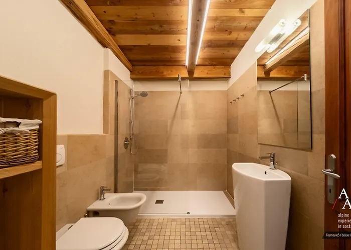 Alp Ski&bike - Tourneuve5