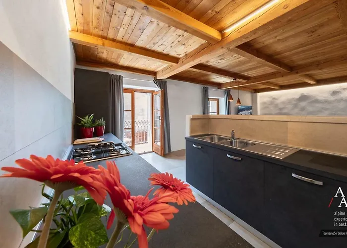 Alp & Bike - Tourneuve5 Apartment *