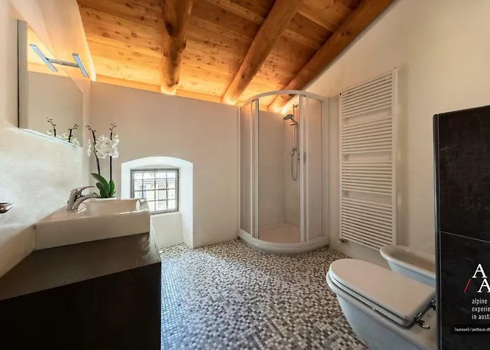 Apartment Alp & Bike - Tourneuve5 *